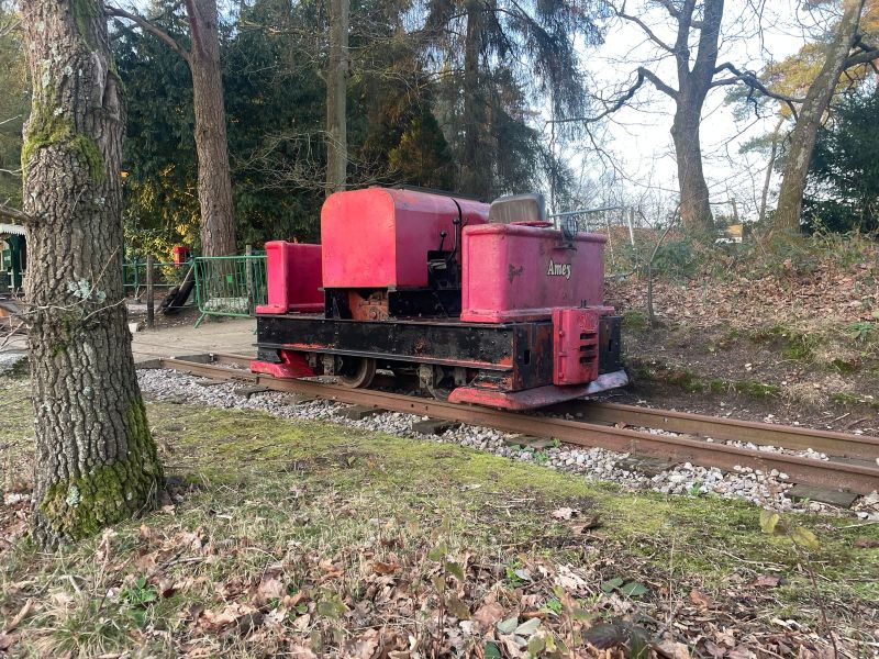 Amey shortly after arrival at the OKLR, 1st March 2025