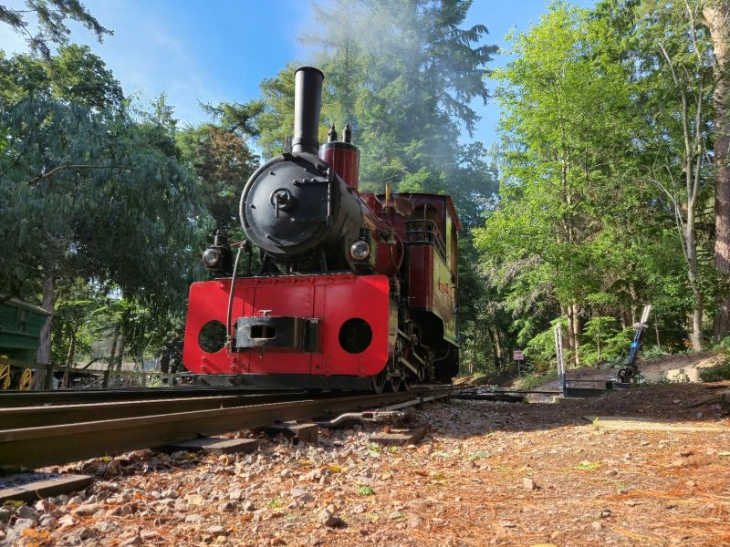 Elouise coming into Mills Wood station, about to couple onto the train.
