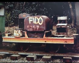 Fido